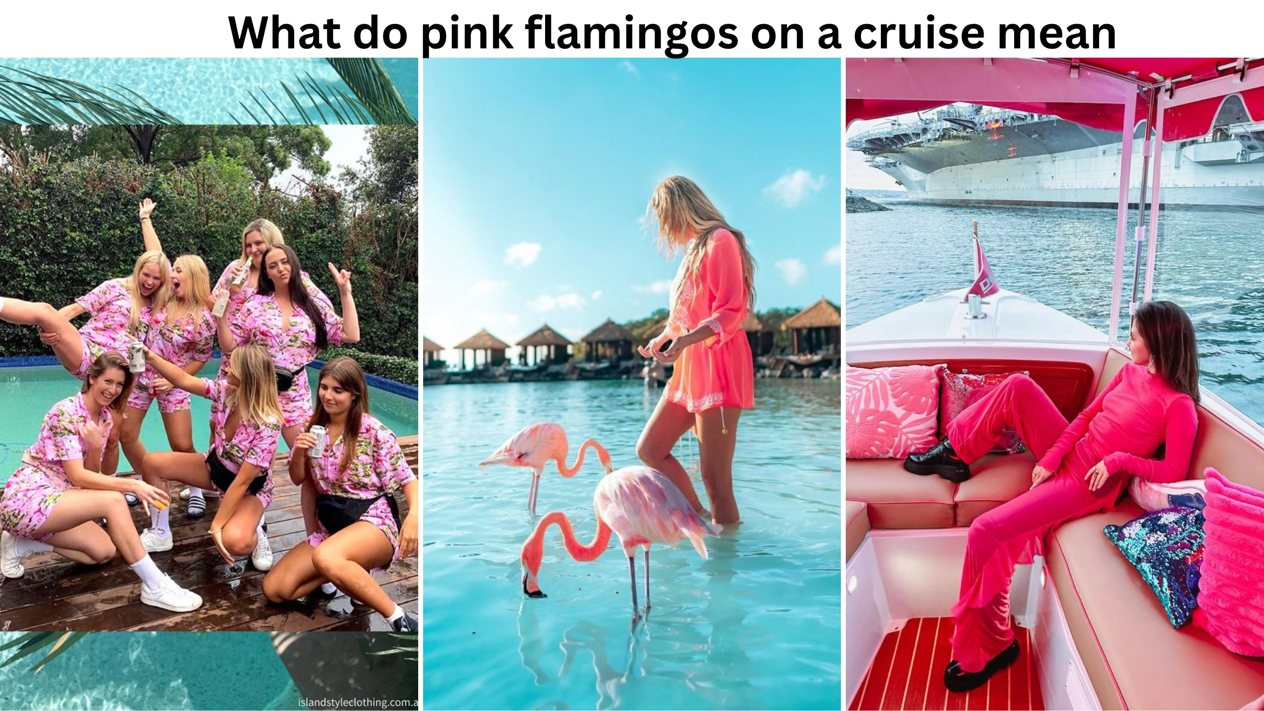 what do pink flamingos on a cruise mean